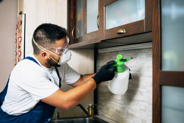 Best Pest Inspection Near Me  in Galena Park, TX