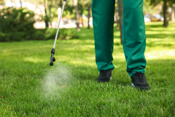 Best Best Pest Control Companies  in Galena Park, TX