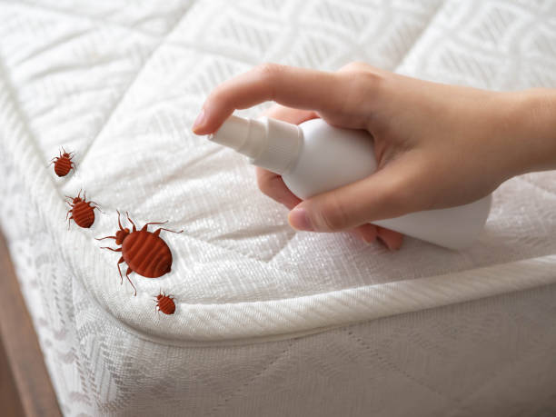 Best Residential Pest Control  in Galena Park, TX